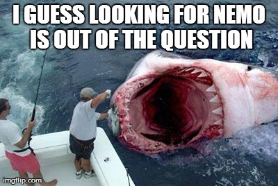I GUESS LOOKING FOR NEMO IS OUT OF THE QUESTION | image tagged in funny | made w/ Imgflip meme maker