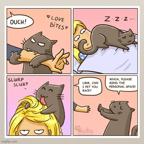 A Cat's Way Of Thinking | image tagged in memes,comics,cats,show more,love,wait a minute | made w/ Imgflip meme maker