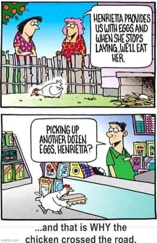 image tagged in memes,comics,chicken,lays,eggs,or is it | made w/ Imgflip meme maker