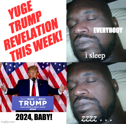 Here's to four more years of sleeping well. | YUGE
TRUMP
REVELATION
THIS WEEK! EVERYBODY; i sleep; zzzz . . . 2024, BABY! | image tagged in memes,zzzzz,sleeping shaq | made w/ Imgflip meme maker