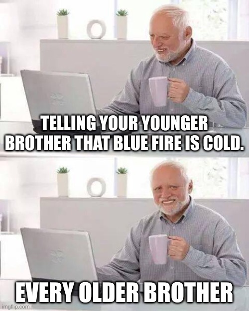 Every brothers ever. | TELLING YOUR YOUNGER BROTHER THAT BLUE FIRE IS COLD. EVERY OLDER BROTHER | image tagged in brothers | made w/ Imgflip meme maker