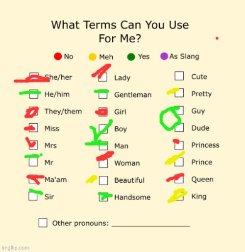 Pronouns Sheet | image tagged in pronouns sheet | made w/ Imgflip meme maker