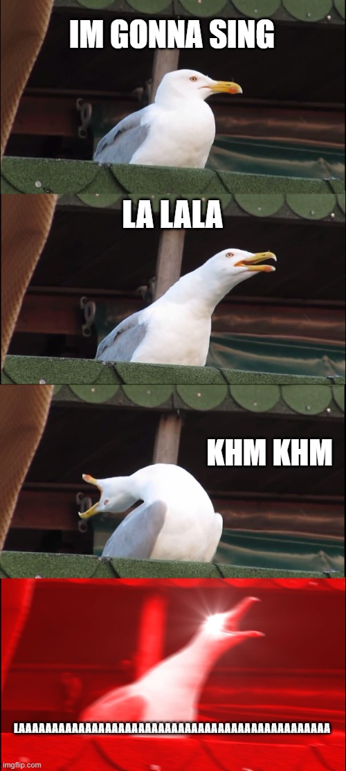 Inhaling Seagull Meme | IM GONNA SING; LA LALA; KHM KHM; LAAAAAAAAAAAAAAAAAAAAAAAAAAAAAAAAAAAAAAAAAAAAAAA | image tagged in memes,inhaling seagull | made w/ Imgflip meme maker