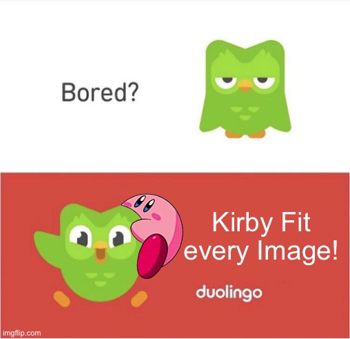 Kirby Fits Duolingo | Kirby Fit every Image! | image tagged in duolingo bored,memes,kirby,funny,duolingo,kirby fit | made w/ Imgflip meme maker
