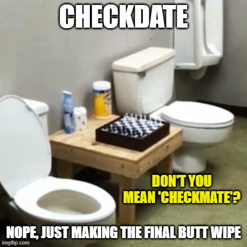 Chess informal use |  DON'T YOU MEAN 'CHECKMATE'? | image tagged in toilet,chess | made w/ Imgflip meme maker