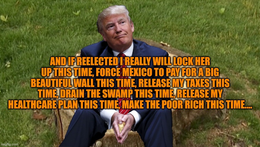 This time he will be too busy to play golf | AND IF REELECTED I REALLY WILL LOCK HER UP THIS TIME, FORCE MEXICO TO PAY FOR A BIG BEAUTIFUL WALL THIS TIME, RELEASE MY TAXES THIS TIME, DRAIN THE SWAMP THIS TIME, RELEASE MY HEALTHCARE PLAN THIS TIME, MAKE THE POOR RICH THIS TIME.... | image tagged in trump on a stump | made w/ Imgflip meme maker
