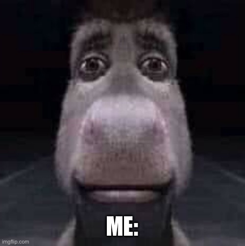 Donkey staring | ME: | image tagged in donkey staring | made w/ Imgflip meme maker