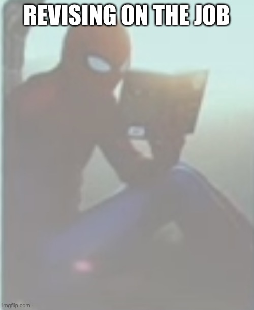 Yes | REVISING ON THE JOB | image tagged in spooderman | made w/ Imgflip meme maker