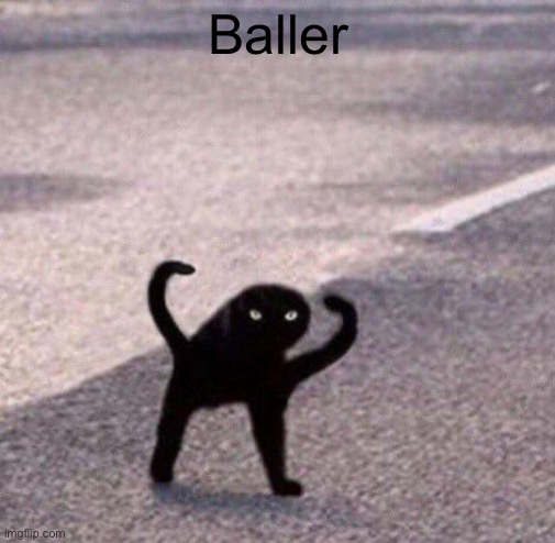 Cursed cat temp | Baller | image tagged in cursed cat temp | made w/ Imgflip meme maker