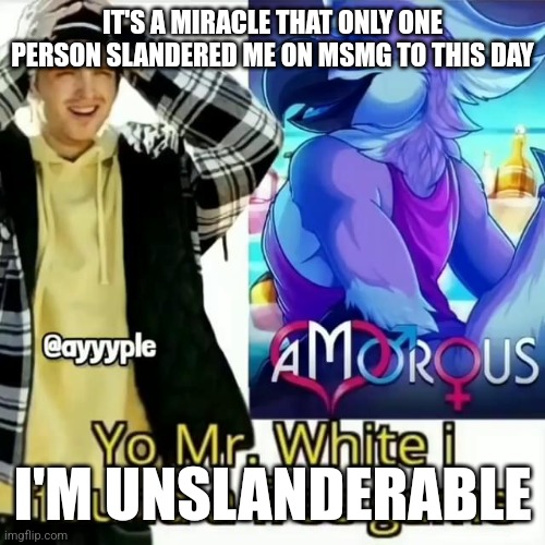Yo Mr. White i found a free game | IT'S A MIRACLE THAT ONLY ONE PERSON SLANDERED ME ON MSMG TO THIS DAY; I'M UNSLANDERABLE | image tagged in yo mr white i found a free game | made w/ Imgflip meme maker