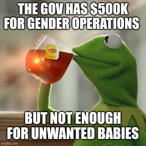 But That's None Of My Business |  THE GOV HAS $500K FOR GENDER OPERATIONS; BUT NOT ENOUGH FOR UNWANTED BABIES | image tagged in memes,but that's none of my business,kermit the frog | made w/ Imgflip meme maker