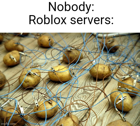 it's ran on potatoes | Nobody:
Roblox servers: | image tagged in potato servers,potatoes,memes,funny,roblox | made w/ Imgflip meme maker