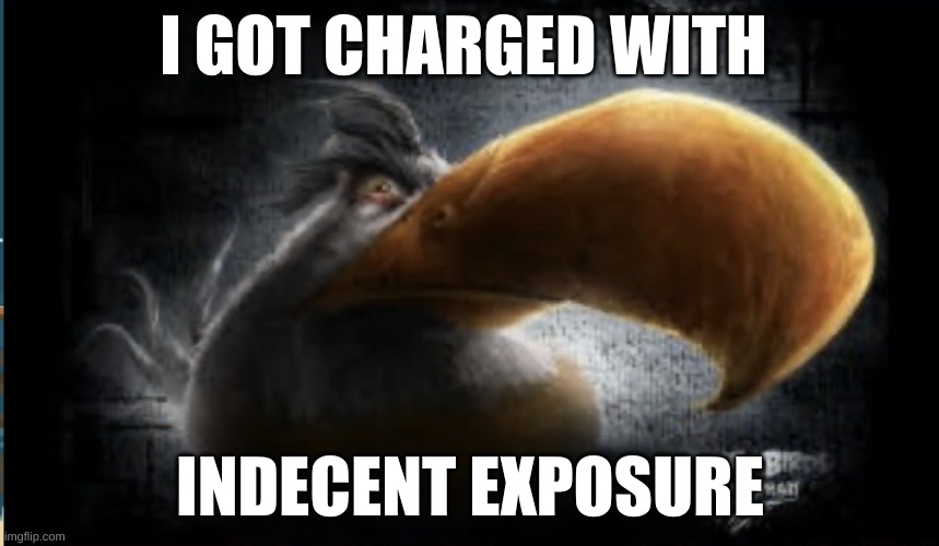 Realistic Mighty Eagle | I GOT CHARGED WITH; INDECENT EXPOSURE | image tagged in realistic mighty eagle | made w/ Imgflip meme maker