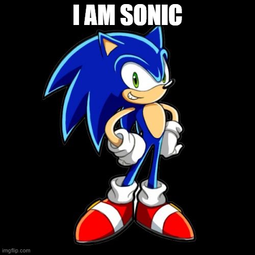 You're Too Slow Sonic | I AM SONIC | image tagged in memes,you're too slow sonic | made w/ Imgflip meme maker