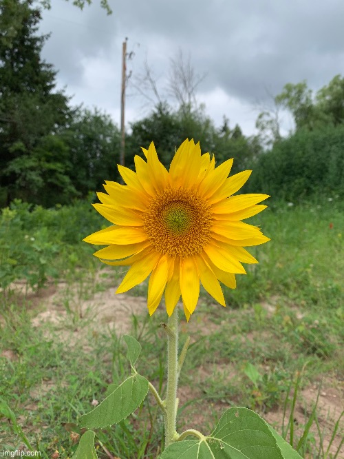 My dad took this picture for me | made w/ Imgflip meme maker