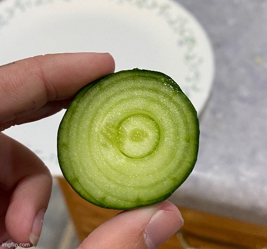 Cutting a cucumber and this was the result of the end, thought it looked cool | made w/ Imgflip meme maker