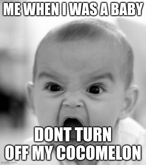 Angry Baby | ME WHEN I WAS A BABY; DONT TURN OFF MY COCOMELON | image tagged in memes,angry baby | made w/ Imgflip meme maker