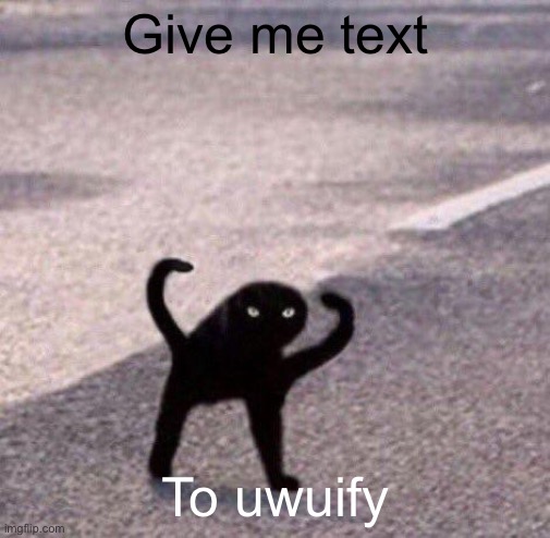Cursed cat temp | Give me text; To uwuify | image tagged in cursed cat temp | made w/ Imgflip meme maker