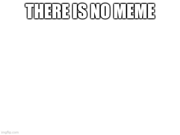 none | THERE IS NO MEME | image tagged in nothing | made w/ Imgflip meme maker