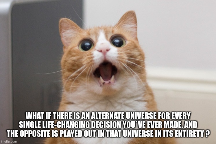 Amazed cat | WHAT IF THERE IS AN ALTERNATE UNIVERSE FOR EVERY SINGLE LIFE-CHANGING DECISION YOU´VE EVER MADE, AND THE OPPOSITE IS PLAYED OUT IN THAT UNIVERSE IN ITS ENTIRETY? | image tagged in amazed cat | made w/ Imgflip meme maker