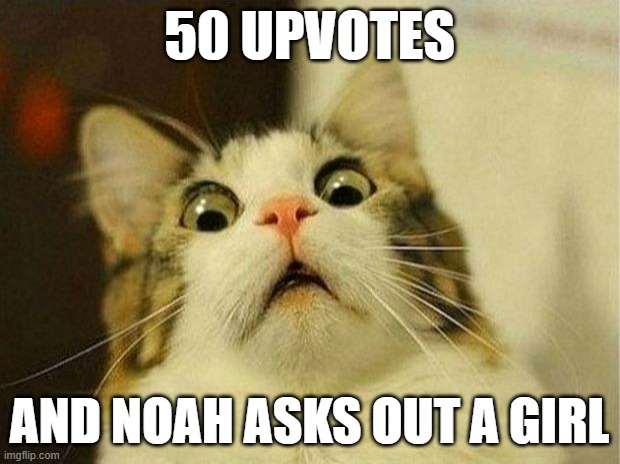 Scared Cat | 50 UPVOTES; AND NOAH ASKS OUT A GIRL | image tagged in memes,scared cat | made w/ Imgflip meme maker