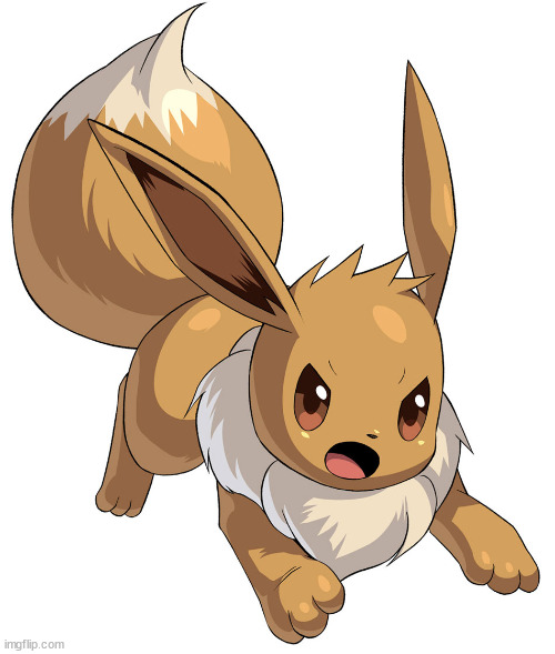 Angry Eevee | image tagged in angry eevee | made w/ Imgflip meme maker