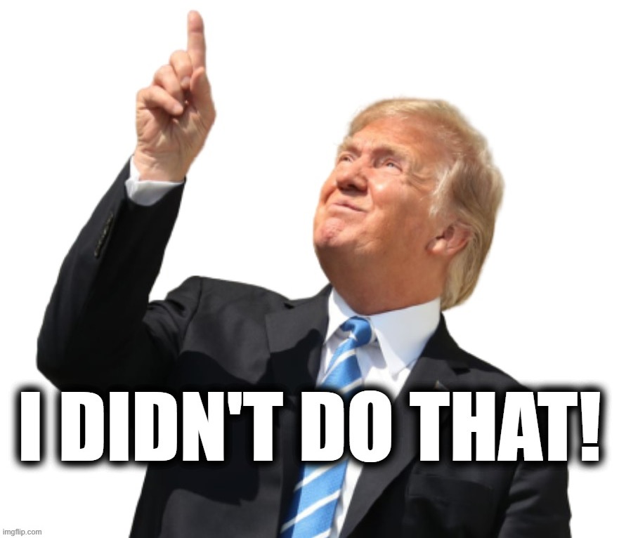 Donald Trump I didn't do that | image tagged in donald trump i didn't do that | made w/ Imgflip meme maker