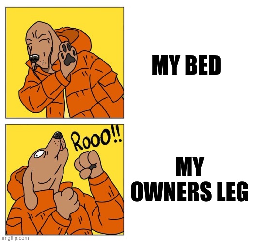 upvote or comment if your dog does the same. | MY BED; MY OWNERS LEG | image tagged in drake dog | made w/ Imgflip meme maker