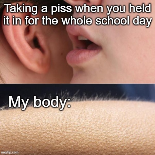 Truth | Taking a piss when you held it in for the whole school day; My body: | image tagged in whisper and goosebumps | made w/ Imgflip meme maker