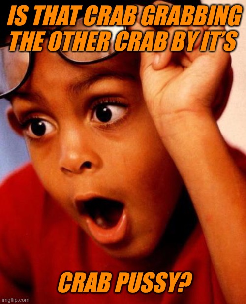 Wow | IS THAT CRAB GRABBING THE OTHER CRAB BY IT’S CRAB PUSSY? | image tagged in wow | made w/ Imgflip meme maker