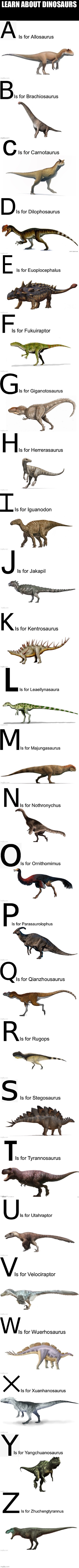 Learn dinosaurs | image tagged in dinosaurs,alphabet,dinosaur | made w/ Imgflip meme maker