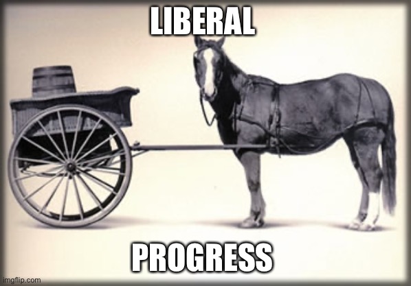 Cart no front of the hirse | LIBERAL PROGRESS | image tagged in cart no front of the hirse | made w/ Imgflip meme maker