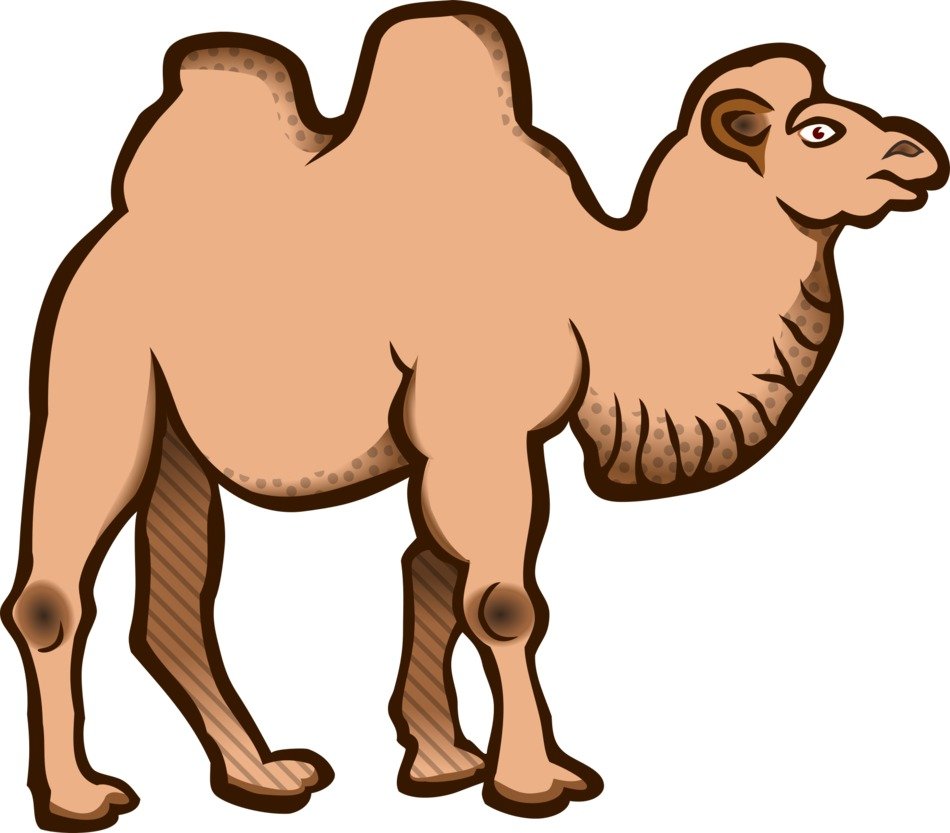 Cafe Camel Bactrian Blank Meme Template