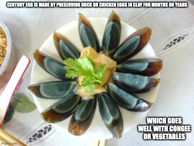 Century Egg | CENTURY EGG IS MADE BY PRESERVING DUCK OR CHICKEN EGGS IN CLAY FOR MONTHS OR YEARS; WHICH GOES WELL WITH CONGEE OR VEGETABLES | image tagged in food,memes | made w/ Imgflip meme maker