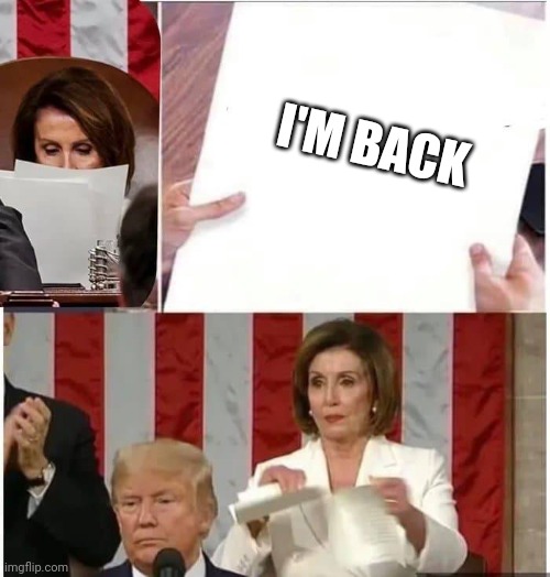 I've got two wirds...... | I'M BACK | image tagged in nancy pelosi rips paper | made w/ Imgflip meme maker