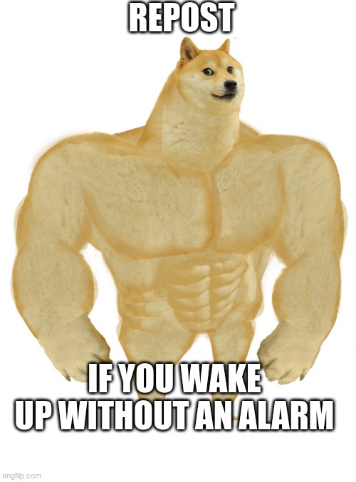 do it or i eat your mom | REPOST; IF YOU WAKE UP WITHOUT AN ALARM | image tagged in swole doge | made w/ Imgflip meme maker