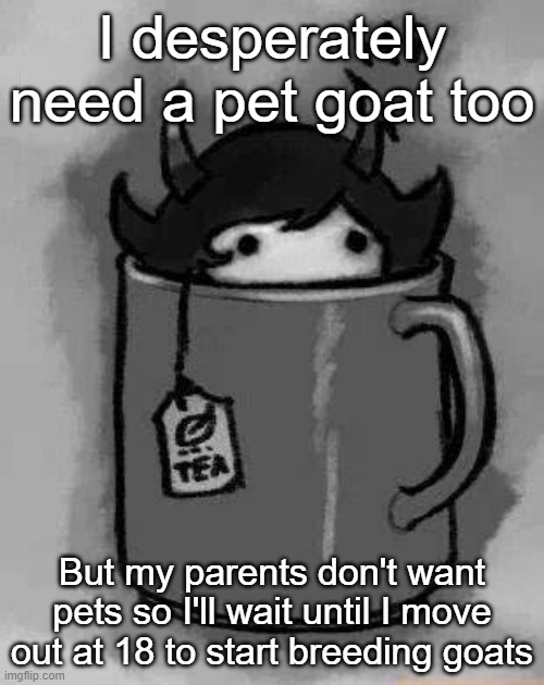 Kanaya in my tea | I desperately need a pet goat too; But my parents don't want pets so I'll wait until I move out at 18 to start breeding goats | image tagged in kanaya in my tea | made w/ Imgflip meme maker