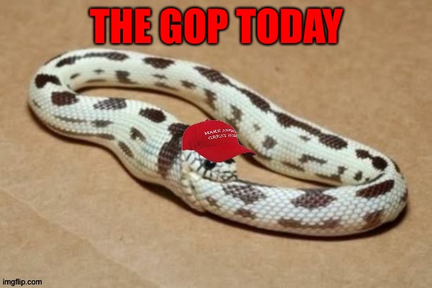 How the GOP "civil war" will play out | THE GOP TODAY | image tagged in snake eating itself | made w/ Imgflip meme maker