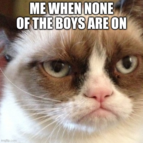 bruh | ME WHEN NONE OF THE BOYS ARE ON | image tagged in lazy | made w/ Imgflip meme maker