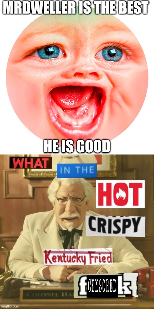 Thanks, I hate MrDweller | MRDWELLER IS THE BEST; HE IS GOOD | image tagged in mrdweller,what in the hot crispy kentucky fried frick,what in the hot crispy kentucky fried fuck | made w/ Imgflip meme maker