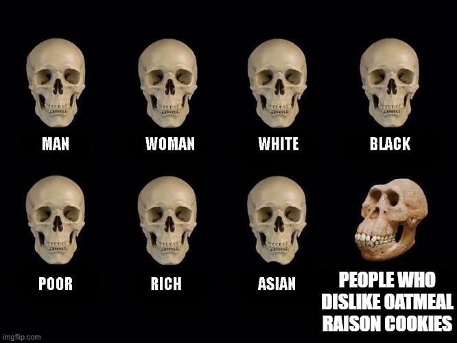 empty skulls of truth | PEOPLE WHO DISLIKE OATMEAL RAISON COOKIES | image tagged in empty skulls of truth | made w/ Imgflip meme maker