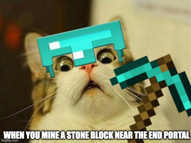 silverfish | WHEN YOU MINE A STONE BLOCK NEAR THE END PORTAL | image tagged in minecraft,gaming | made w/ Imgflip meme maker