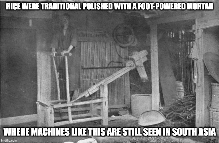 Foot-Powered Rice Polisher | RICE WERE TRADITIONAL POLISHED WITH A FOOT-POWERED MORTAR; WHERE MACHINES LIKE THIS ARE STILL SEEN IN SOUTH ASIA | image tagged in memes,mortar,pestle | made w/ Imgflip meme maker