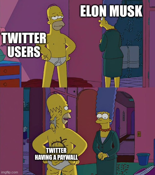 The end of twitter | TWITTER USERS; ELON MUSK; TWITTER HAVING A PAYWALL | image tagged in homer simpson's back fat,noooooooo | made w/ Imgflip meme maker