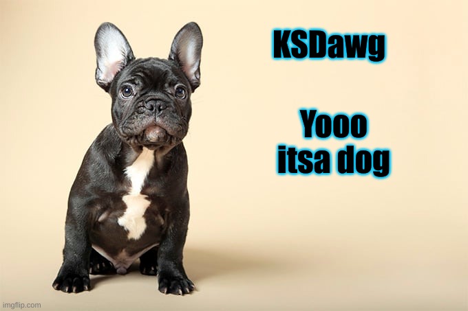 KSDawg | Yooo itsa dog; KSDawg | image tagged in ksdawg | made w/ Imgflip meme maker
