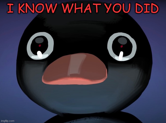 :stare: | I KNOW WHAT YOU DID | image tagged in pingu stare | made w/ Imgflip meme maker
