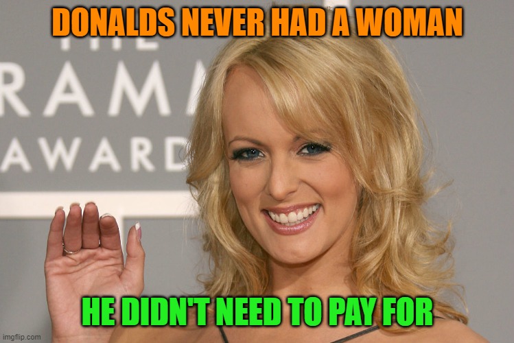Stormy Daniels | DONALDS NEVER HAD A WOMAN HE DIDN'T NEED TO PAY FOR | image tagged in stormy daniels | made w/ Imgflip meme maker