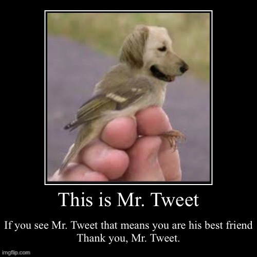 very good boy | image tagged in mr tweet,dog,dog bird | made w/ Imgflip meme maker