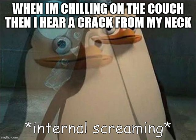 Private Internal Screaming | WHEN IM CHILLING ON THE COUCH THEN I HEAR A CRACK FROM MY NECK | image tagged in private internal screaming | made w/ Imgflip meme maker