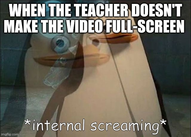 Pain | WHEN THE TEACHER DOESN'T MAKE THE VIDEO FULL-SCREEN | image tagged in private internal screaming | made w/ Imgflip meme maker